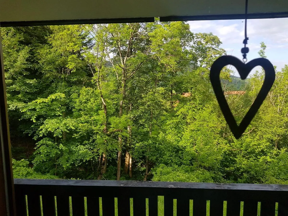Apartment Ferienwohnung Im Kuhlen Allgaeu Missen-Wilhams