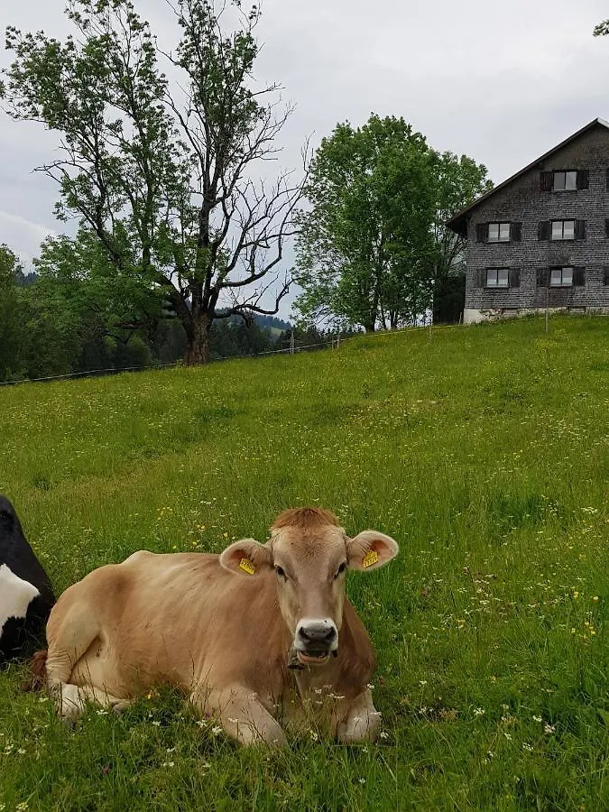 Ferienwohnung Im Kuhlen Allgaeu Missen-Wilhams